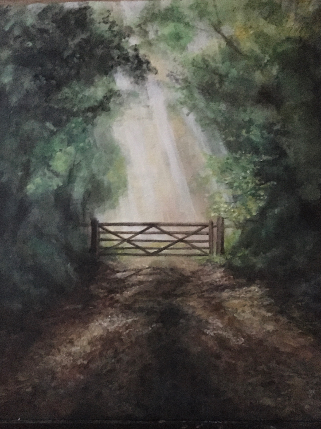 Country Gate Shafts of sunshine through trees onto a leafy lane with a closed crossbar gate